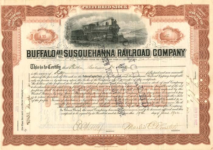 Buffalo and Susquehanna Railroad Co. - 1902 dated Stock Certificate